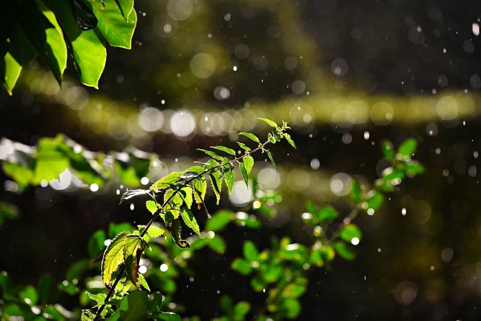 Then he looks at the rain...